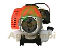 Motore decespugliatore tempi usato  Villaricca