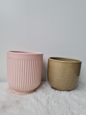 Baby house plant for sale  THAME