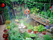 Five hanging baskets for sale  DISS