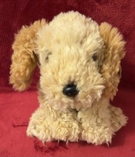 Rare paws golden for sale  WHITSTABLE