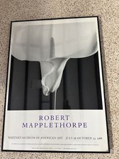 Robert mapplethorpe 1988 for sale  Dammeron Valley