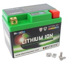 Batteria litio skyrich usato  Palermo