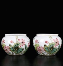 Um par de vasos chineses de porcelana pastel pintados à mão padrão de lótus requintado 6205, usado comprar usado  Enviando para Brazil