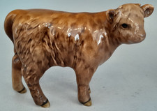 cow calf for sale cow calf for sale WELWYN GARDEN CITY