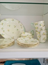 Paragon fine bone for sale  KEIGHLEY