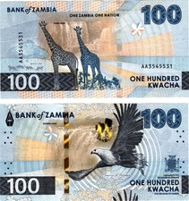 2025 Zâmbia P65 100 Kwacha nota UNC girafa comprar usado  Enviando para Brazil