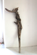Schwemmholz treibholz skulptur gebraucht kaufen  Fronreute