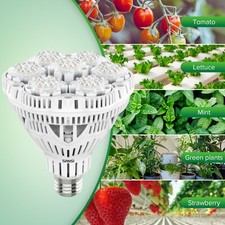 Lampe croissance spectre d'occasion  Expédié en France