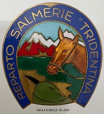 Alpini reparto salmerie usato  Milano