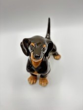 Lomonosov dachshund weiner for sale  Springfield