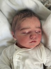 ooak reborn babies for sale  Dover