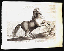 1580 rara napoli usato  Verona