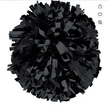 Chasse cheerleading pom for sale  Hinsdale