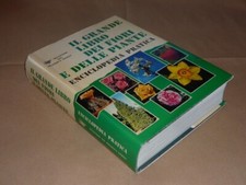 Grande libro dei usato  San Giovanni in Persiceto
