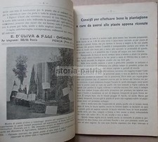 Pescia agraria orto usato  Italia