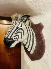 Tolle wanddekoration zebra gebraucht kaufen  Bad Reichenhall