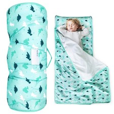 Dinosaur themed toddler for sale  Clermont