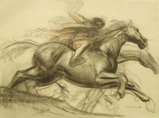Pietro annigoni pontormo for sale  UK