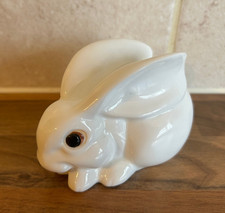 Long earred rabbit for sale  WATERLOOVILLE
