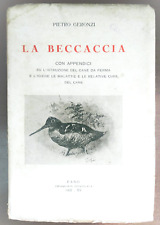 Geronzi beccaccia ediz. usato  Italia