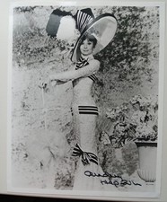 Audrey hepburn signed for sale  LOCKERBIE