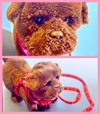 Petit chien furreal d'occasion  L'Aigle