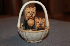 puppy yorkies for sale puppy yorkies for sale Channelview