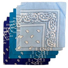 Paisley bandanas 100 for sale  Lincolnwood