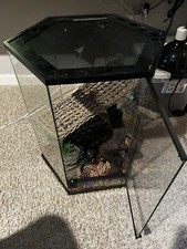 Hexagon reptile enclosure for sale  Mcdonough