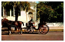 Carriage taxi brewster for sale  Cincinnati