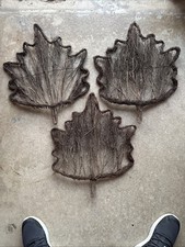 Real tree branch for sale  Derby
