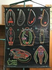 Carte affiche scolaire d'occasion  Paris I