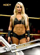 2017 topps wwe for sale  Odenton
