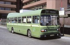 Luton district leyland for sale  LUTON