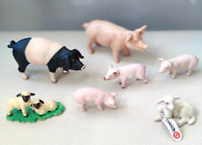 Auswahl schwein ferkel gebraucht kaufen  Lemgo
