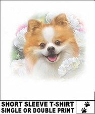 Beautiful pomeranian dog for sale  Cape Coral