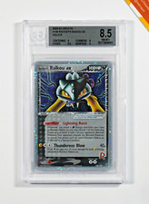 raikou usato raikou usato Bergamo