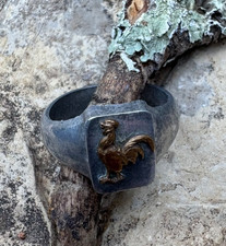 352t bague poilu d'occasion  Pignans