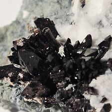 Neptunite mineral miniture for sale  Redwood City