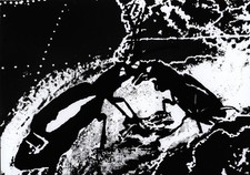 Speckmann hugo 1990 gebraucht kaufen Speckmann hugo 1990 gebraucht kaufen  Düsseldorf