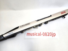 Akai professional ewi4000s usato  Spedire a Italy
