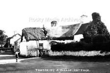 Thj thatching welsh for sale Thj thatching welsh for sale  ROCHDALE