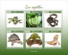 2025 guinea reptiles d'occasion  Brunoy