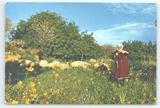 Postcard woman spinning for sale  Olivehurst