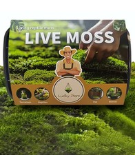 Fresh live moss for sale  USA