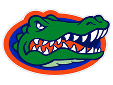 University florida gators for sale  Corona