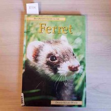 Ferret furetto pet usato  Italia
