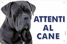 Cane corso attenti usato  San Filippo del Mela