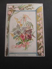 Hachette fleurs orchidees d'occasion  France