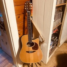 Washburn dc80 charleston for sale  West Hurley